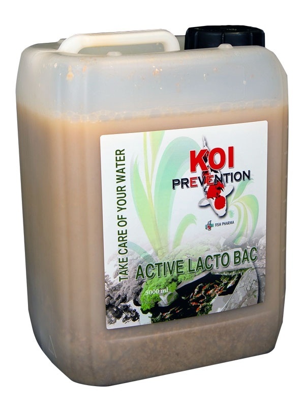 Melkzuurbacteriën 5L