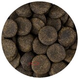 Koi Gulden - Koi snack