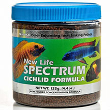 New Life Spectrum