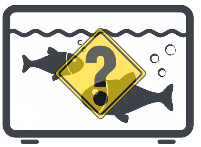 10 veelgemaakte beginnersfouten bij aquarianen