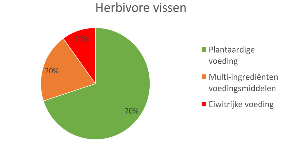 Herbivore vissen