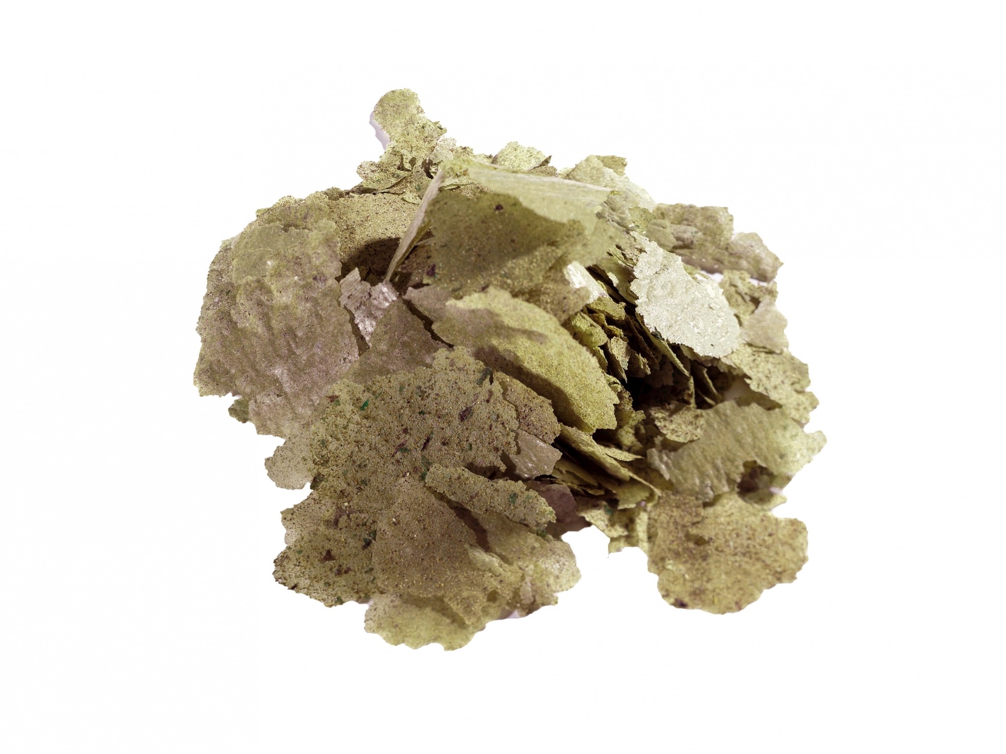 Dr. Bassleer Biofish Food Flora flake vlokvoer