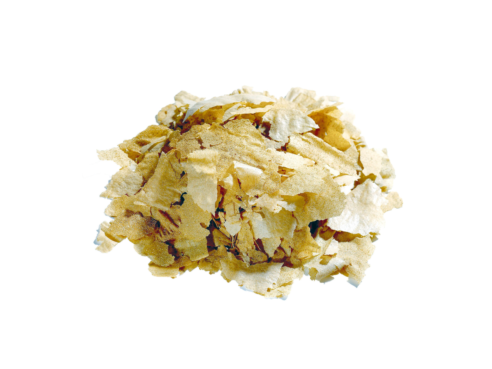 Dr. Bassleer Biofish Food Forte flake vlokvoer