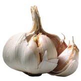 Dr. Bassleer Biofish Food Garlic