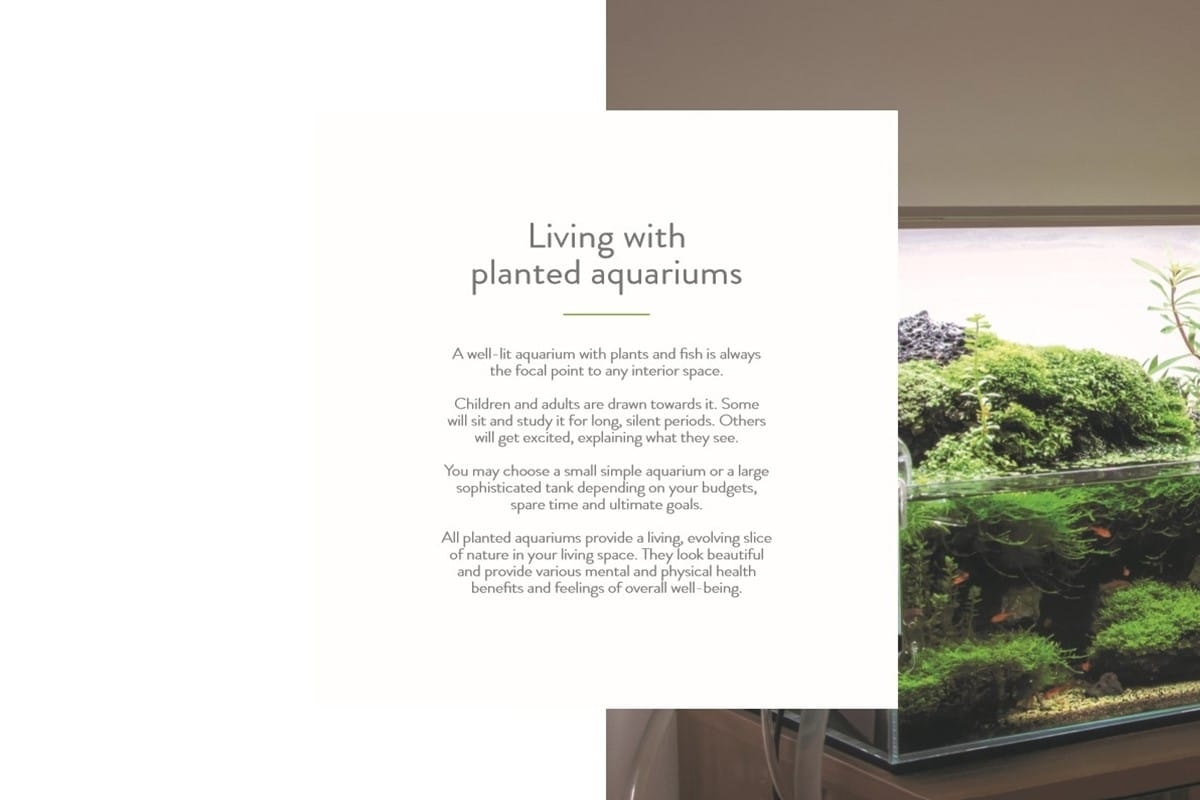 Tropica Boek 50 Years under the surface