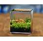 Ziss Aqua ZT-14 Betta box nano aquarium -  2,4 liter