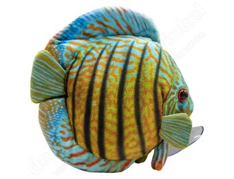 GreenPleco knuffel - Discus