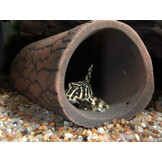 Pleco Ceramics Pleco Cave Large