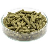 Echinacea garnalen voedersticks