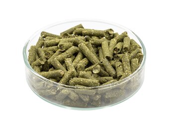 Echinacea garnalen voedersticks