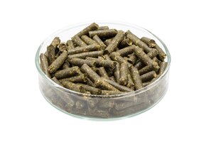 Moerbei garnalen voedersticks