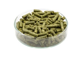 Paardenbloem garnalen voedersticks