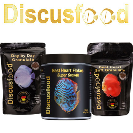 Discusfood