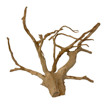 de Visvoer WebWinkel Red moor wood (20-40cm) per 500 gram