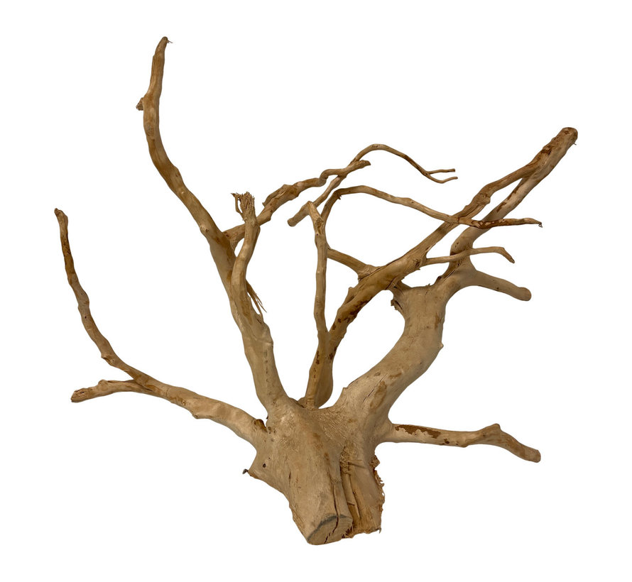 Red moor wood (20-40cm) per 500 gram