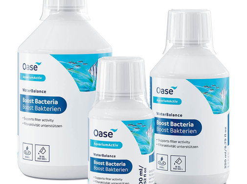 Oase Oase WaterBalance - bacterie booster