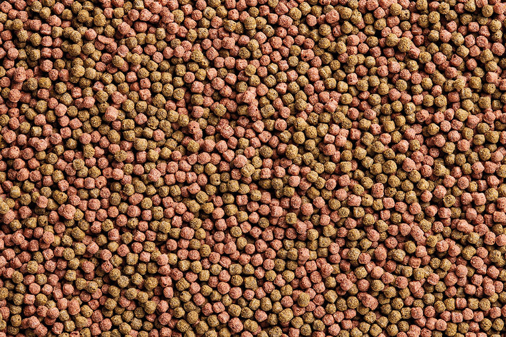 DYNAMIX Koi Pellets - Small - 8L