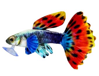 GreenPleco knuffel - Guppy