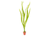 Kunstplant aquarium Cryptocoryne licht