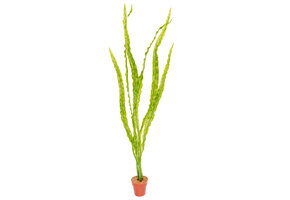 Kunstplant aquarium Cryptocoryne licht