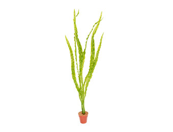 Kunstplant aquarium Cryptocoryne licht