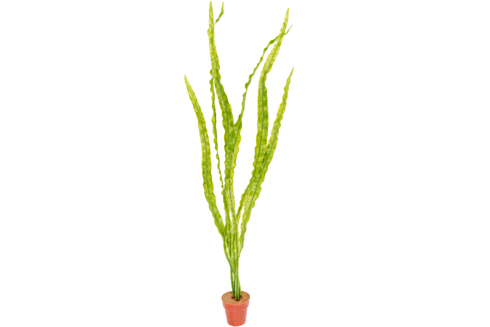 Kunstplant aquarium Cryptocoryne licht