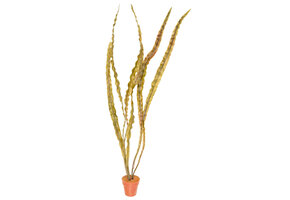 Kunstplant aquarium Cryptocoryne donker