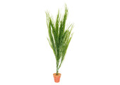 Kunstplant aquarium Ceratopteris groen