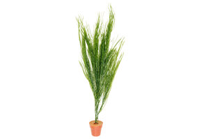 Kunstplant aquarium Ceratopteris groen