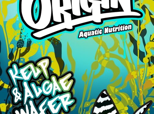 Origin Aquatic Nutrition Origin Aquatic Nutrition Kelp en Algae Wafers