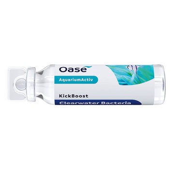 Oase Oase KickBoost helder water bacteriën 30ml