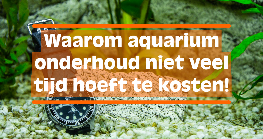 Waarom aquarium onderhoud niet veel tijd hoeft te kosten!