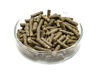 5 kruiden garnalen voedersticks