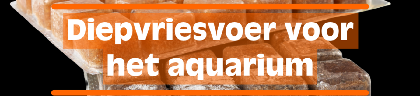 Diepvriesvoer voor het aquarium