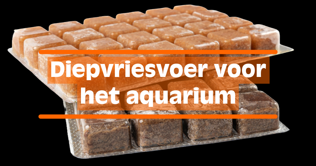 Diepvriesvoer voor het aquarium
