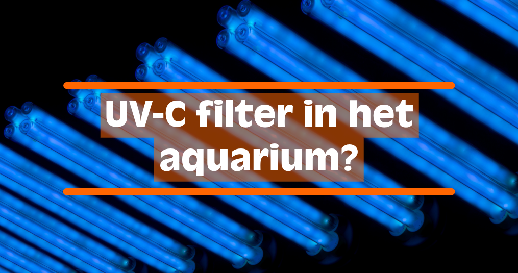 UV filter voor het aquarium