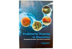De Praktische Wegwijs in Visziekten