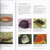 De Praktische Wegwijs in Visziekten