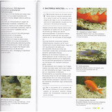 De Praktische Wegwijs in Visziekten