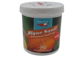 Shrimps Forever Algae Snail (omnivoor)