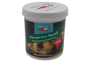 Shrimps Forever Carnivore Snail (carnivoor)
