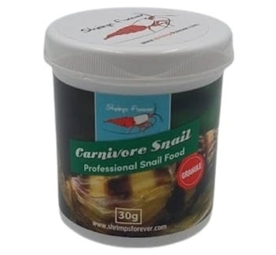Shrimps Forever Carnivore Snail (carnivoor)