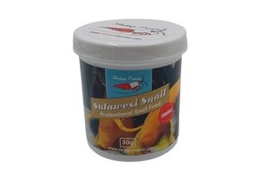 Shrimps Forever Sulawesi Snail