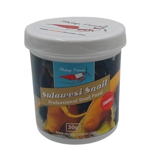 Shrimps Forever Sulawesi Snail