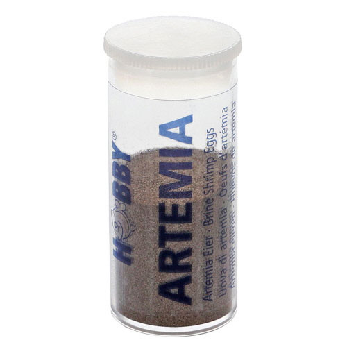 Hobby artemia eieren