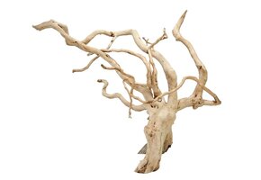 Spider wood (10-50cm)