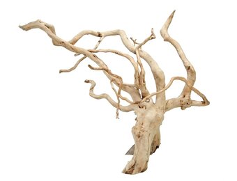 Spider wood (10-50cm)