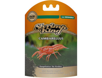 Dennerle Shrimp King Cambarellus