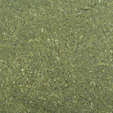 Dennerle Shrimp King Atyopsis