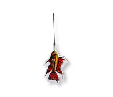 de Visvoer WebWinkel Sleutelhanger Apistogramma cacatuoides